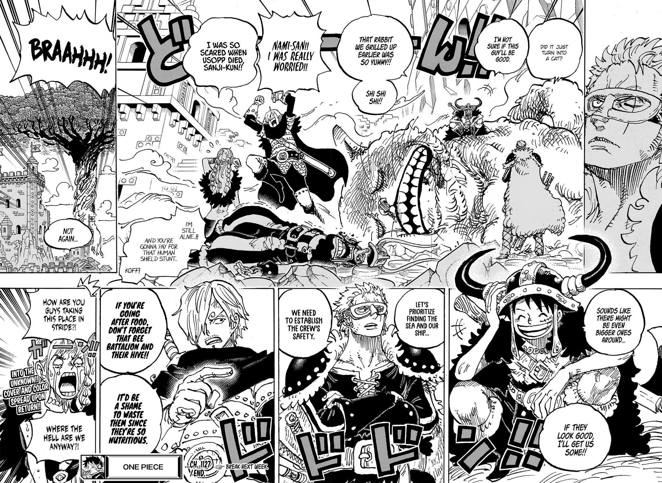 One Piece Chapter 1127 Page 13