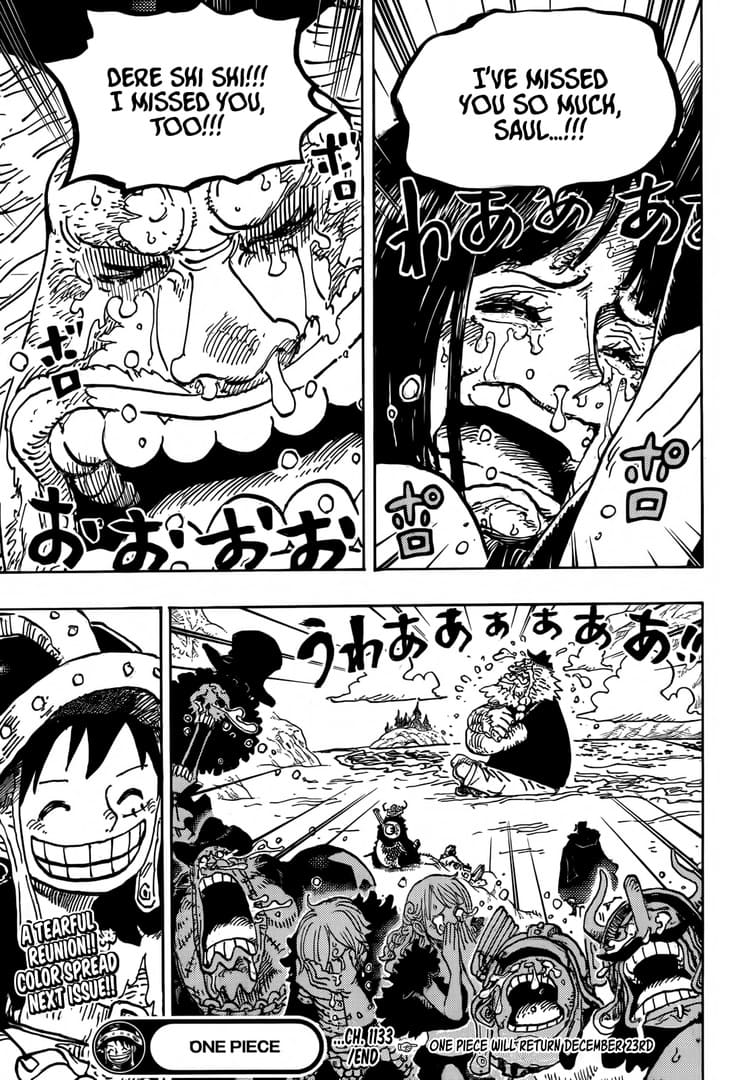 One Piece Chapter 1133 Page 15